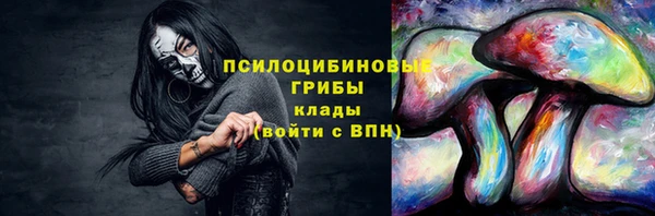МДПВ Зеленокумск