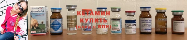 СК Заводоуковск