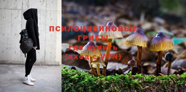 СК Заводоуковск