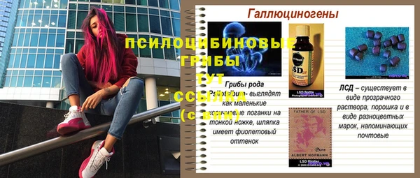 МДПВ Зеленокумск