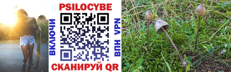 закладки  ОМГ ОМГ как войти  Галлюциногенные грибы мухоморы  Истра 
