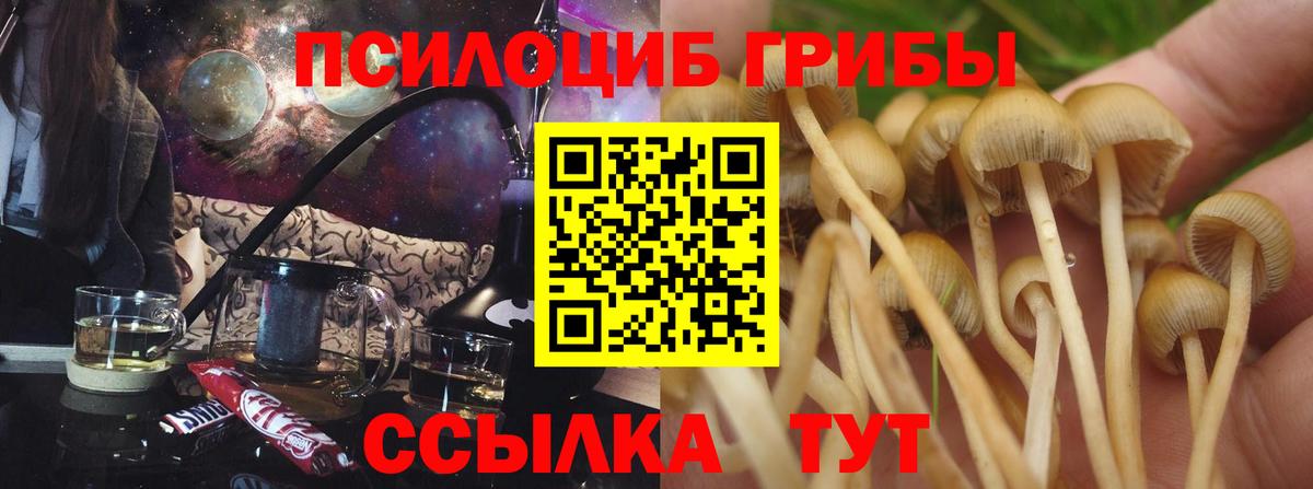 Истра  Галлюциногенные грибы GOLDEN TEACHER  Вход с VPN 