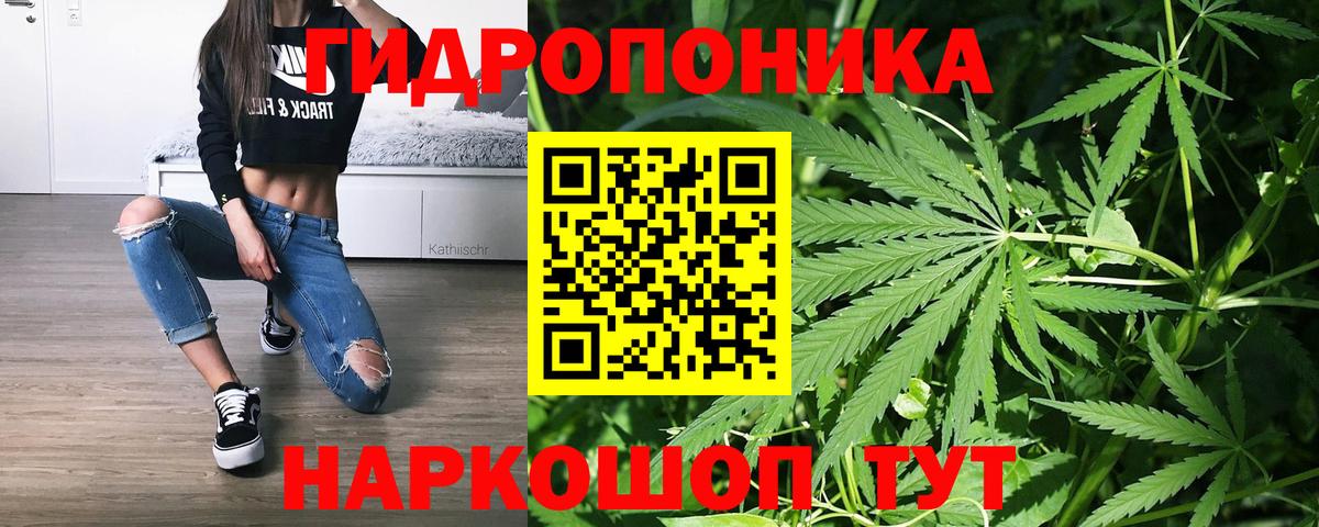 Истра  Бошки Шишки THC 21%  Шишки марихуана конопля  Вход с VPN  Шишки марихуана семена 